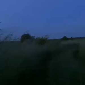 别 相 见 别 想 念