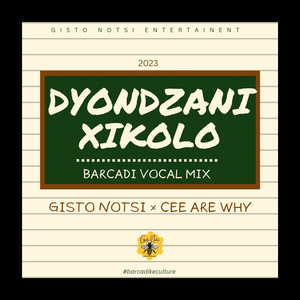 Dyondzani Xikolo (Barcadi Mix)