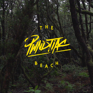 The Beach (Les Loups Remix)