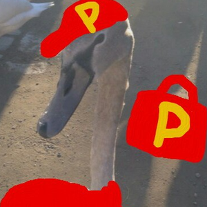 Пиздееееец