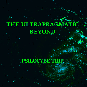 Interdimensional Parasytes