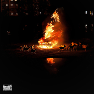 Niềm Tin Ẩu (Original)