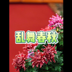 烟花巷子 (无敌DJ版)