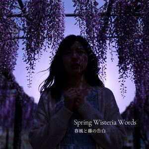 春風と藤の告白