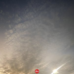 赌上世界的决定