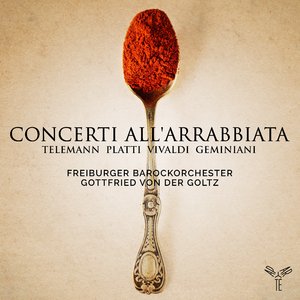 Concerto in G Minor for Oboe, Strings and Continuo, I 47: I. Allegro