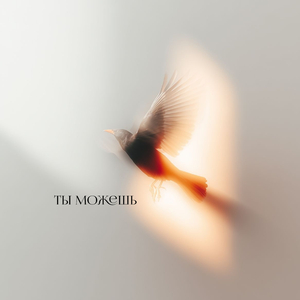 Ты можешь