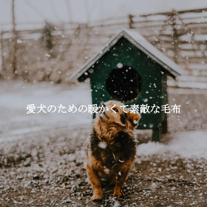 Magical Music for Chill Zones