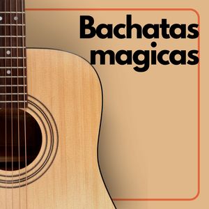 Sentado En EL Muelle De La Bahia