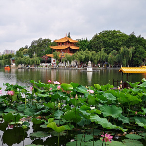 鲁流金-大观楼长联122801