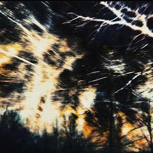 SAKI SANOBASHI // GO FOR A PUNCH