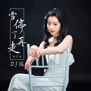 雪停了再走 (DJ版)