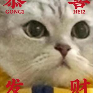 流年（翻自 王菲）