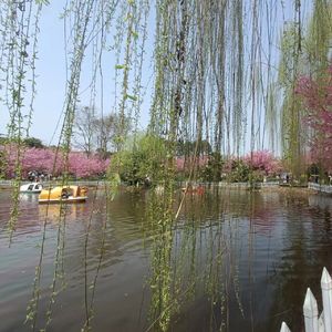 贝加尔湖畔--李健.人声