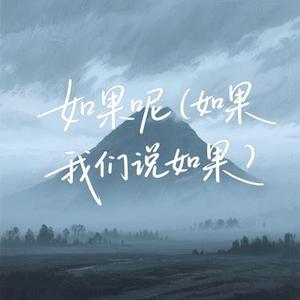 如果呢-_如果我是说如果