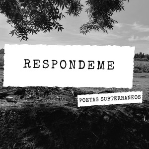 Respondeme