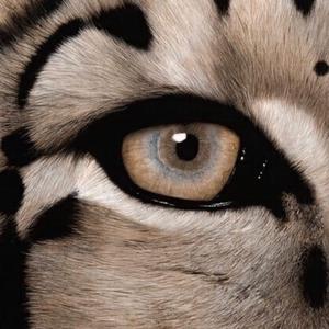 Ирина Кайратовна-%（царь моря remix）