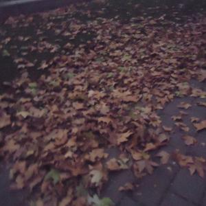 anything 4 u (feat. kynlary & angelrave)