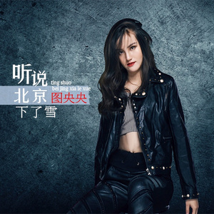 听说北京下了雪