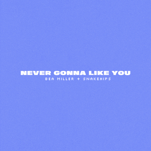NEVER GONNA LIKE YOU