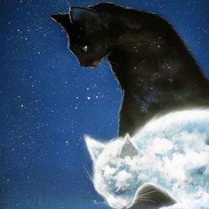 朋友请听好（翻自:何炅/谢娜/易烊千玺）