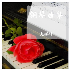 毛宁-蓝蓝的夜蓝蓝的梦（赵鹏皓 remix）