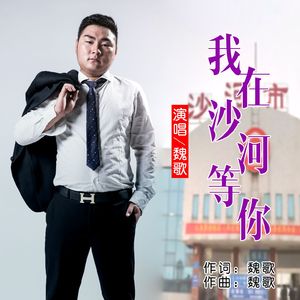 我在沙河等你