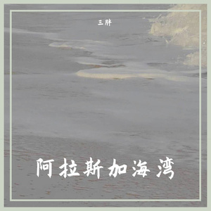 阿拉斯加海湾(自 非道尔)