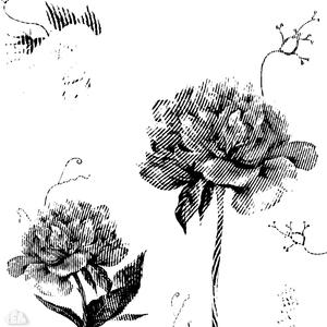 prélude.