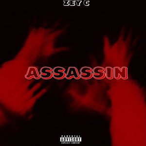 Assassin