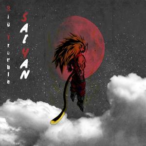 SaiYan（超级赛亚人）