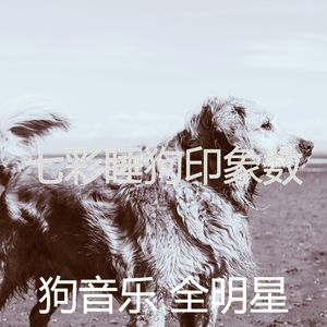 精彩小狗环境