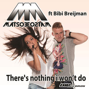There's Nothing I Won't Do (Radio Edit)