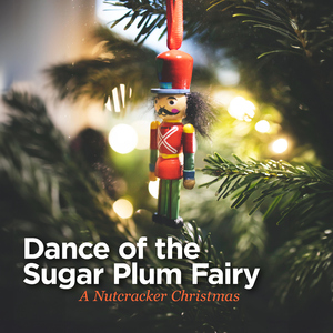 The Nutcracker, Op. 71:Miniature Overture