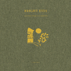 Bright Eyes - We Are Nowhere and It's Now (Companion Version)