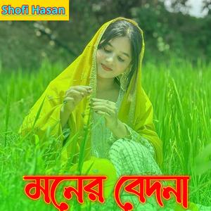 মনের বেদনা