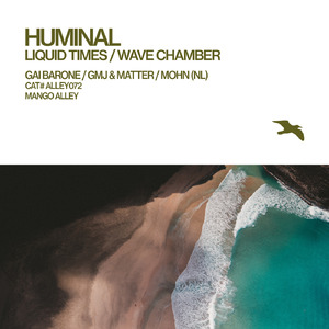 Wave Chamber (Mohn (NL) Remix)
