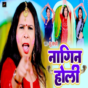Nagin Holi