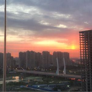 忘了这是第几年