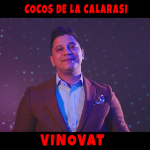 Vinovat
