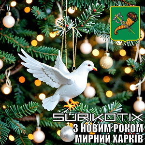 З новим роком, мирний Харків