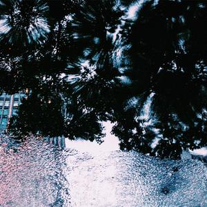 Different Shapes 生而不同