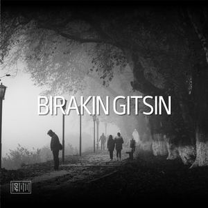 Birakin gitsin