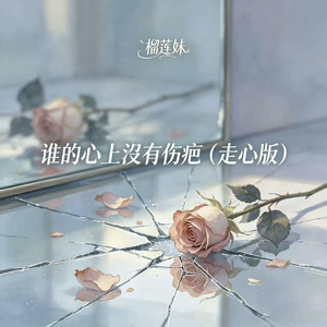 谁的心上没有伤疤（走心版）