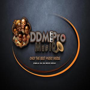 The New King (feat. Robza Boy) (Disco)