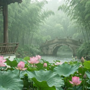 Petals of Jade Rain