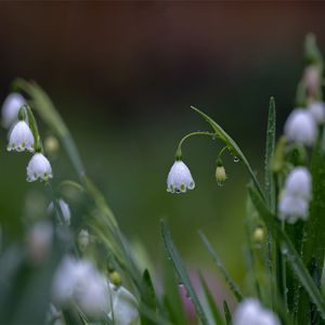 黑夜-整曲 伴奏