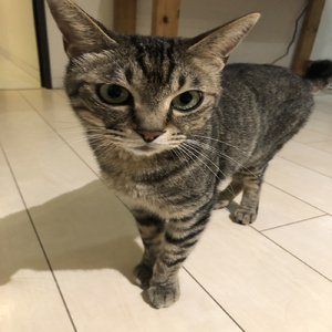 君は特別な存在