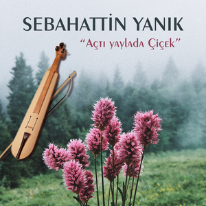 Çarşamba Günü Kurulur