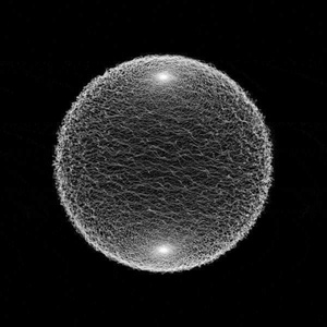 ラッシュ・ライフ